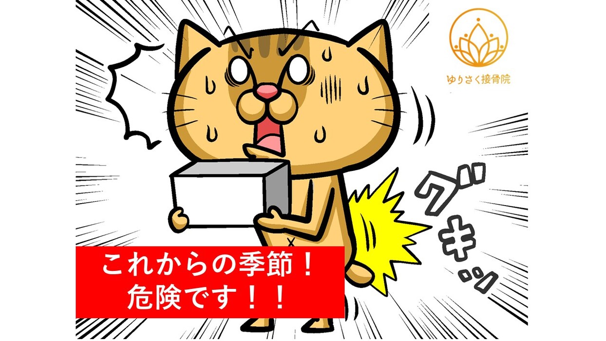 画像383