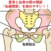 画像384