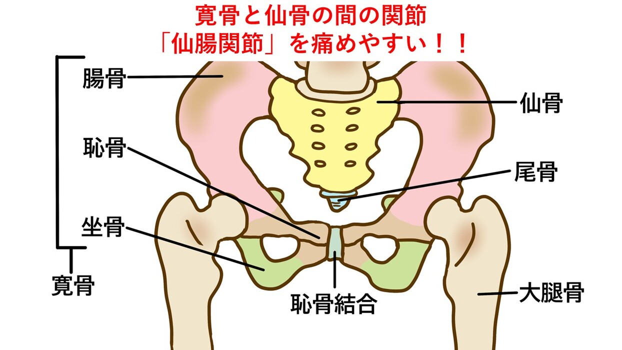 画像384