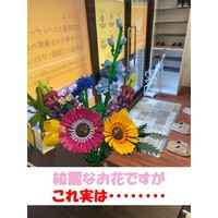 画像488