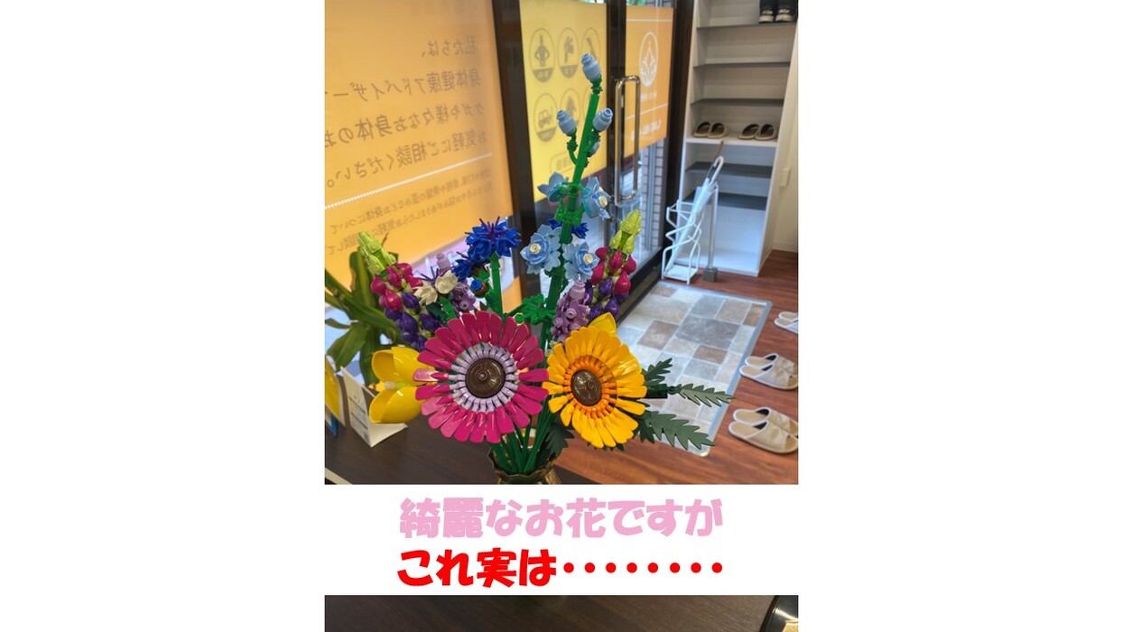画像488