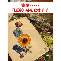 画像489
