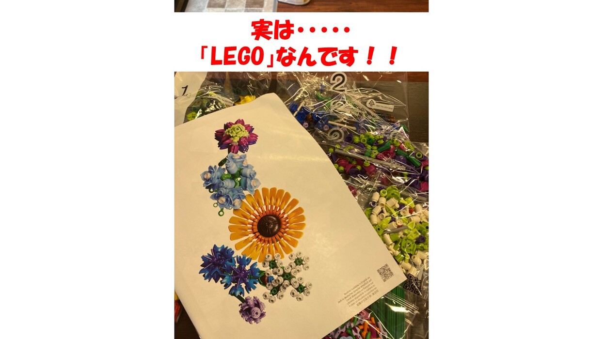 画像489