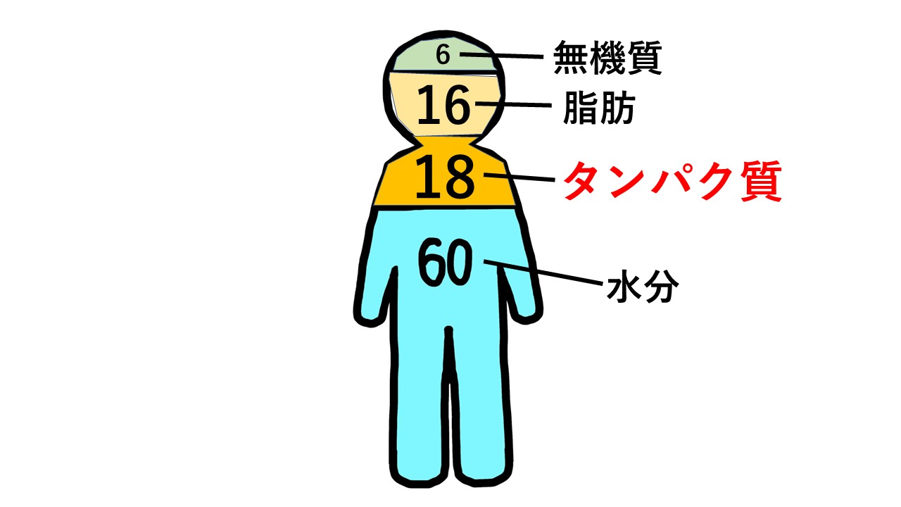 ダウンロード (3)