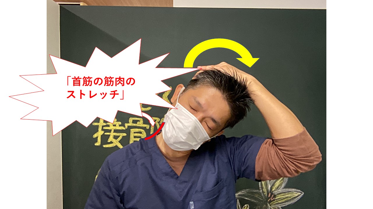 ダウンロード (3)