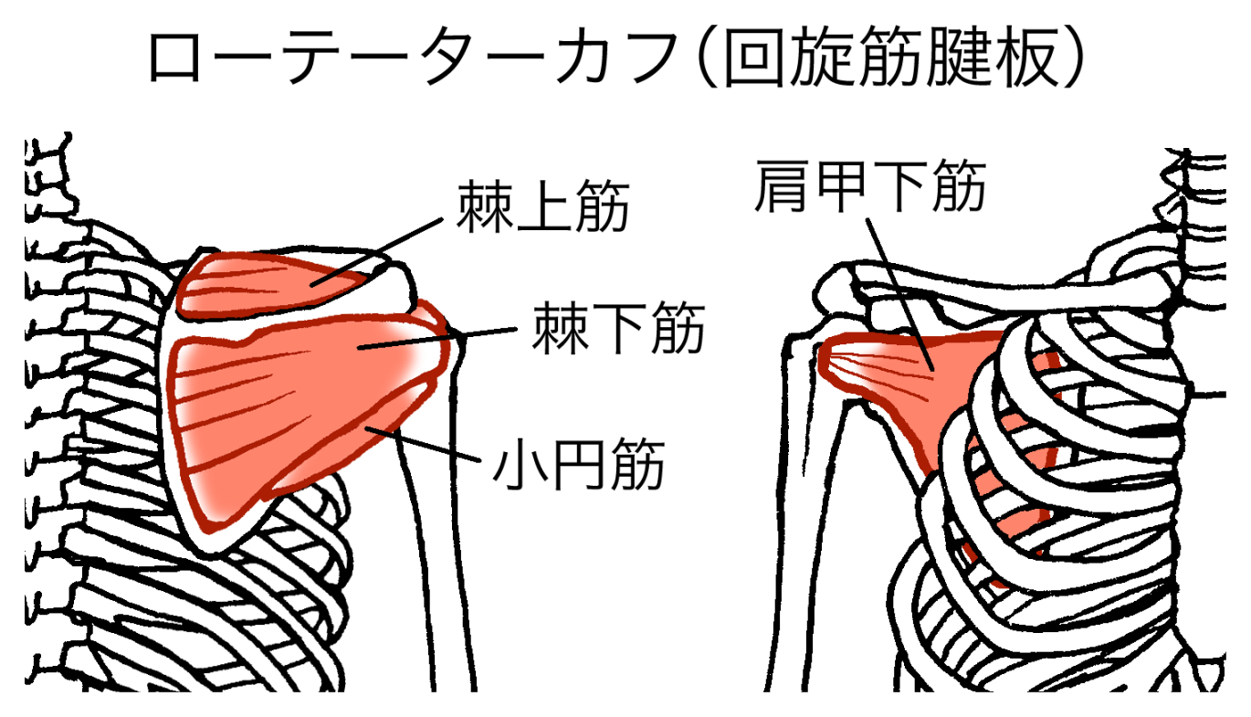 ダウンロード (4)