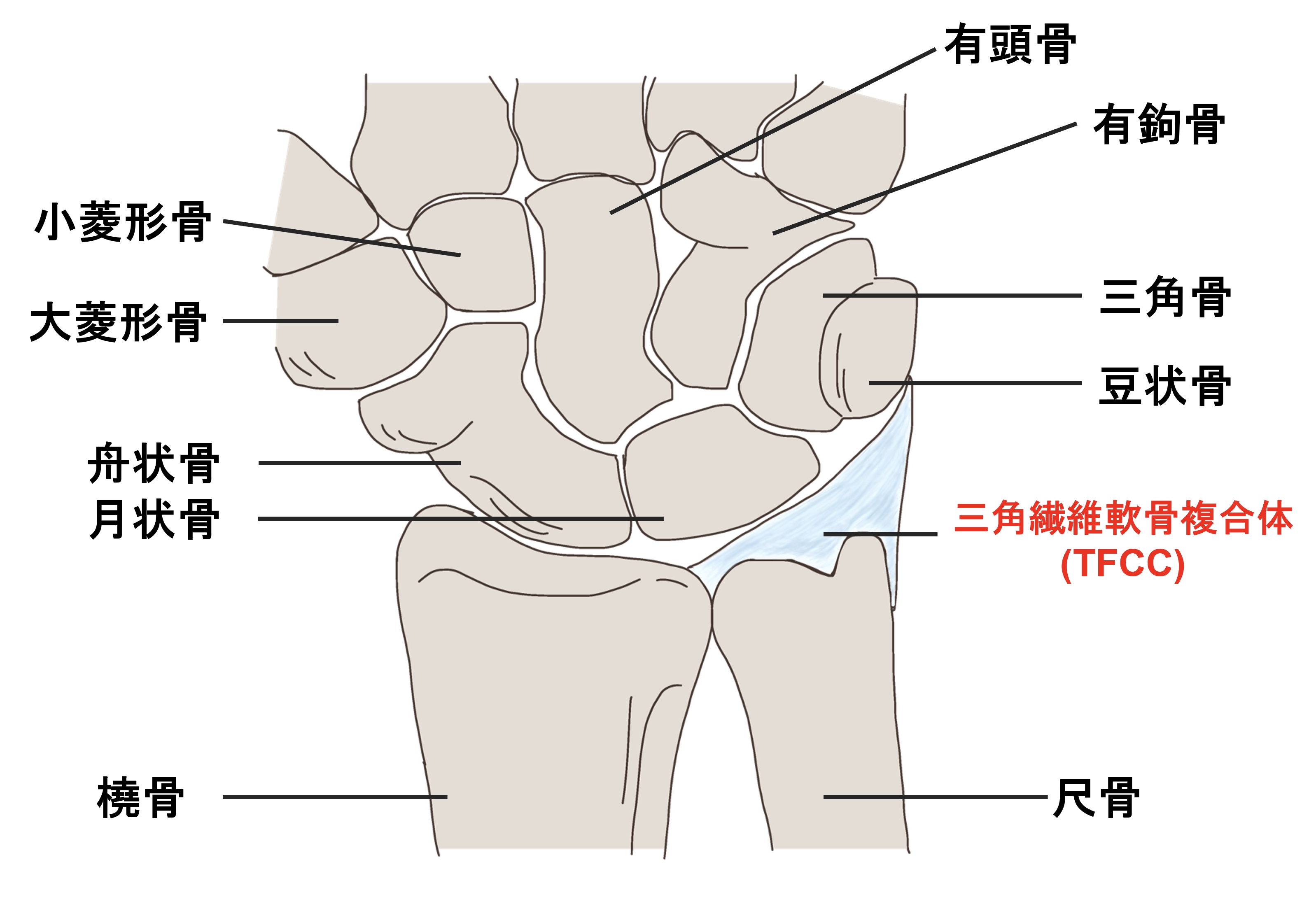 ダウンロード (3)
