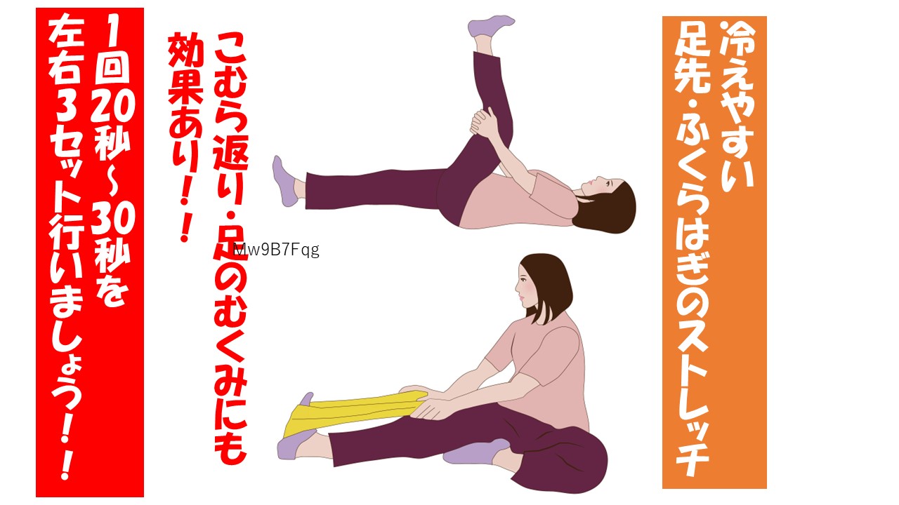 ダウンロード (4)